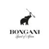Bongani Robusto spirit of Africa