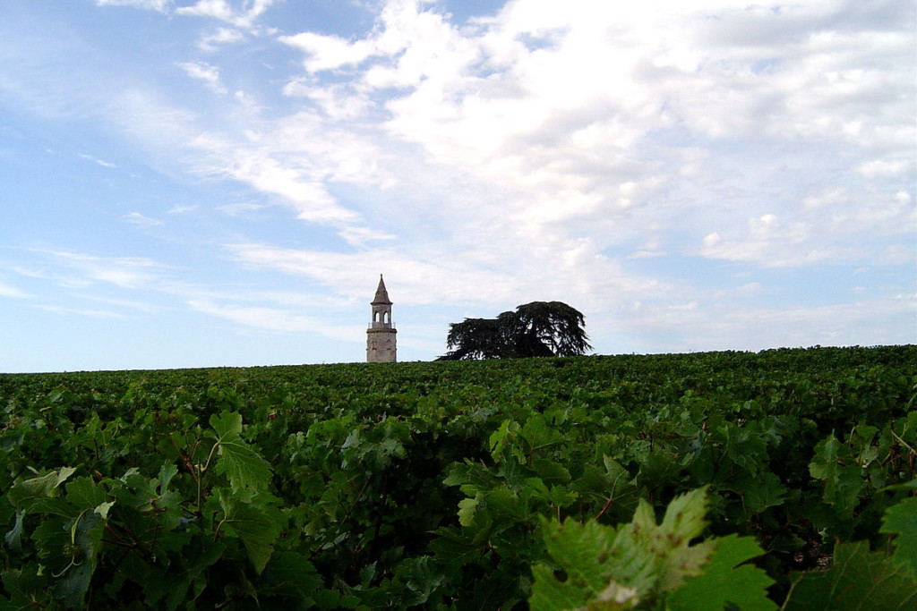 Château Haut-Médoc