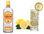 Gordon's Gin cocktail served cold in a highball glass.