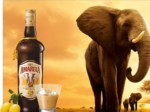 Amarula