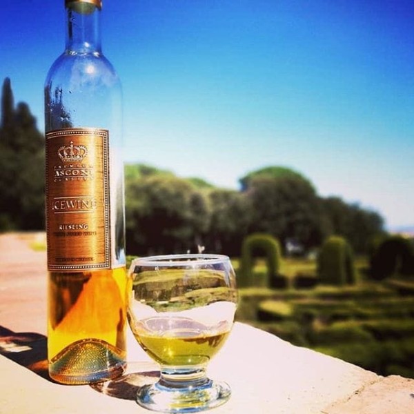 Asconi Riesling Ice Wine Asconi Riesling Ice Wine 500ml