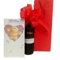 Tons de Duorum Red Valentines Gift Bag