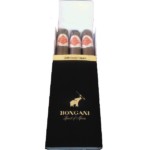 Bongani Robusto 3Pack