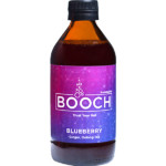 Booch - Blueberry Ginger Kombucha