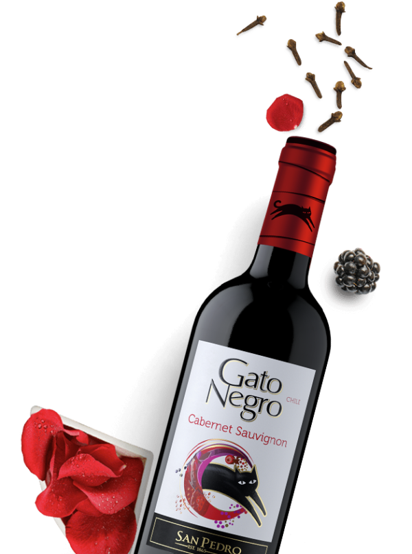Gato Negro Cabernet Sauvignon 250ml - Oaks &amp; Corks