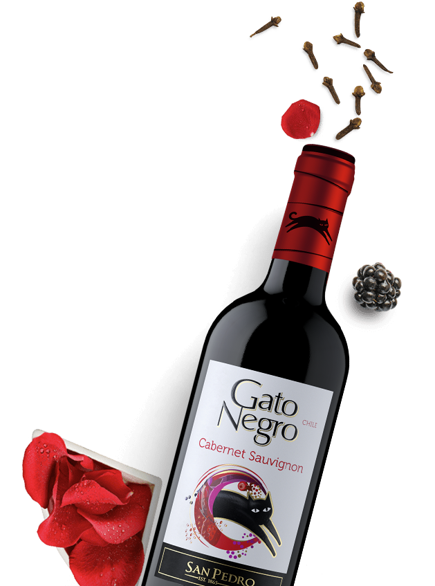 Gato Negro Cabernet Merlot 250ml