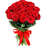 red roses