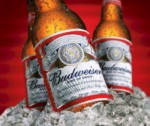 Budweiser beer 355 ml