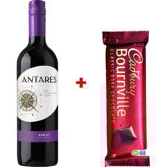 Antares Merlot & Bournville Dark Chocolate Duo